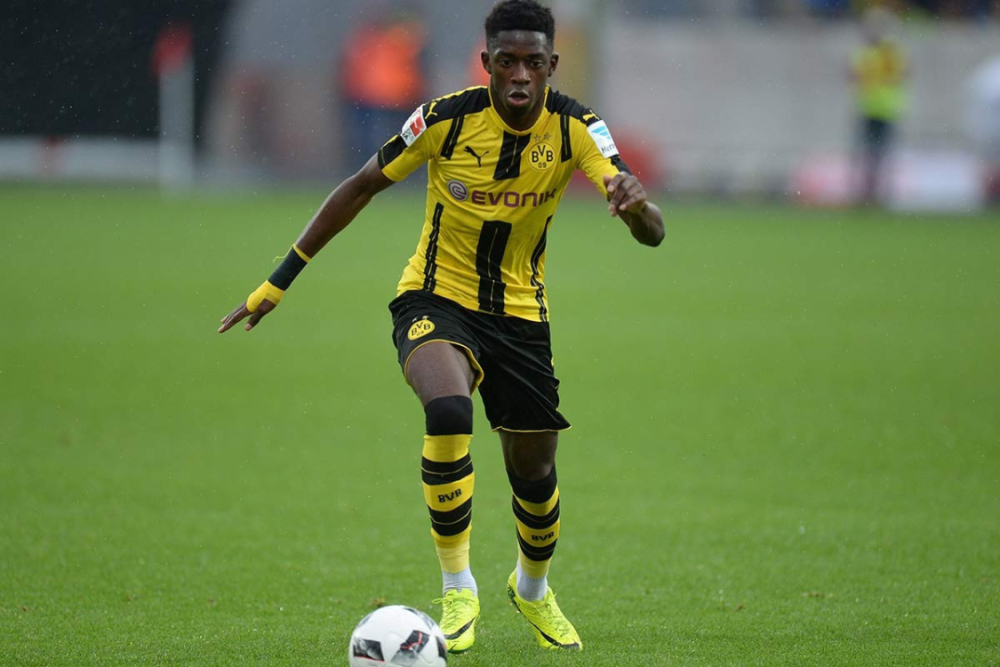 但也并不意 但也并不意